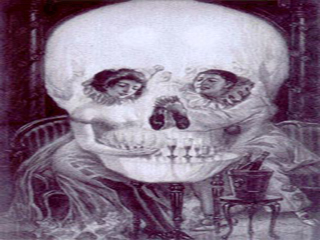 Couple or a skull illusion